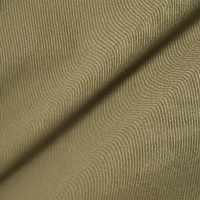 Regular Fit Cotton Twill Chino Pants