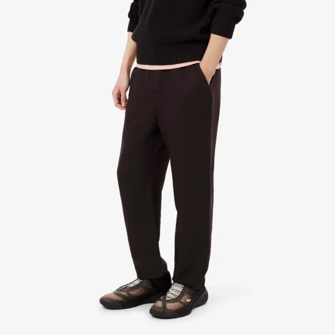 Regular Fit Linen Chino Pants