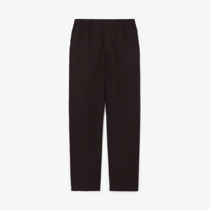 Regular Fit Linen Chino Pants