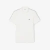 Regular Fit Logo Stripe Polo