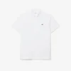 Regular Fit Short Sleeved Poplin Shirt