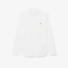 Regular Fit Stretch Poplin Shirt