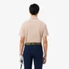 Regular Fit Ultra Dry Striped Golf Polo