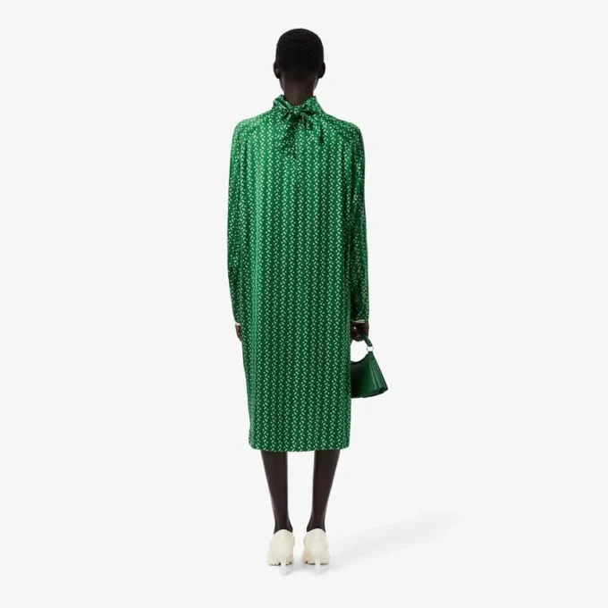 Runway Printed Satin Scarf Neck Dress