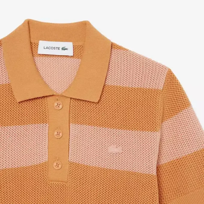 Striped Mesh Knit Polo Collar Sweater
