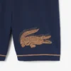 Striped Sport Shorts