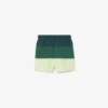 Striped Swim Trunks